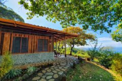 a view of a bungalow from the outside with pebble path, wooden features, green surrounding area