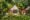 Thatched beach bungalow surrounded by lush tropical gardens at Ylang Ylang Beach Resort, Montezuma, Costa Rica.
