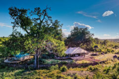 aerial view of a wooden and tented lodge between grassland of Africa with trees around it