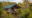 a tented double lodge with green roof and neutral colour fabric set among trees