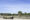 a game drive jeep in sand colour and with a driver is parked in front of a herd of giraffes in Etosha