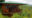 an outside view of a bungalow located high on stilts, the bungalow is in wooden style with green roof, large open terrace