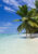 Paradise found Sainte Marie island, Madagascar