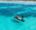 A small narrow row boat with two fishermen in it, floats on the completely still tropical Mozambique sea. The water is light turquoise and completely clear, revealing coral reefs below the water and small fish.