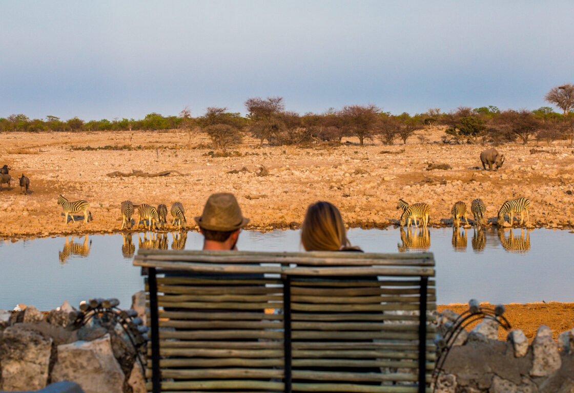 Rear view of young couple observing animals in african savanna, Etosha National Park, Namibia