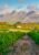 lush vineyards covering the land for miles, with great rocky mountains in the background