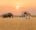 a view of a safari jeep on a game drive with one solo elephant oposite the jeep in the long dry grass under a sky with a setting sun