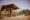 A family enjoys a sunny day outside a safari tent. A man and child sit at a wooden picnic table, while another child plays with a basketball nearby. The scene is relaxed and warm.