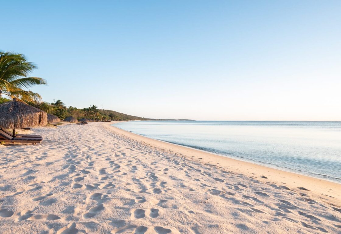 Tranquil beach scene at sunrise with palm trees, straw umbrellas, and lounge chairs on white sand. Calm sea stretches to the horizon under a clear sky.
