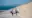 Two people walk barefoot on sandy dunes, carrying sandboards. The ocean is visible in the background under a clear blue sky, creating a serene and adventurous vibe.