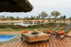 pool with wooden deck around it, futon and lounge chairs overlooking waterhall with animals drinking out of it in the distance