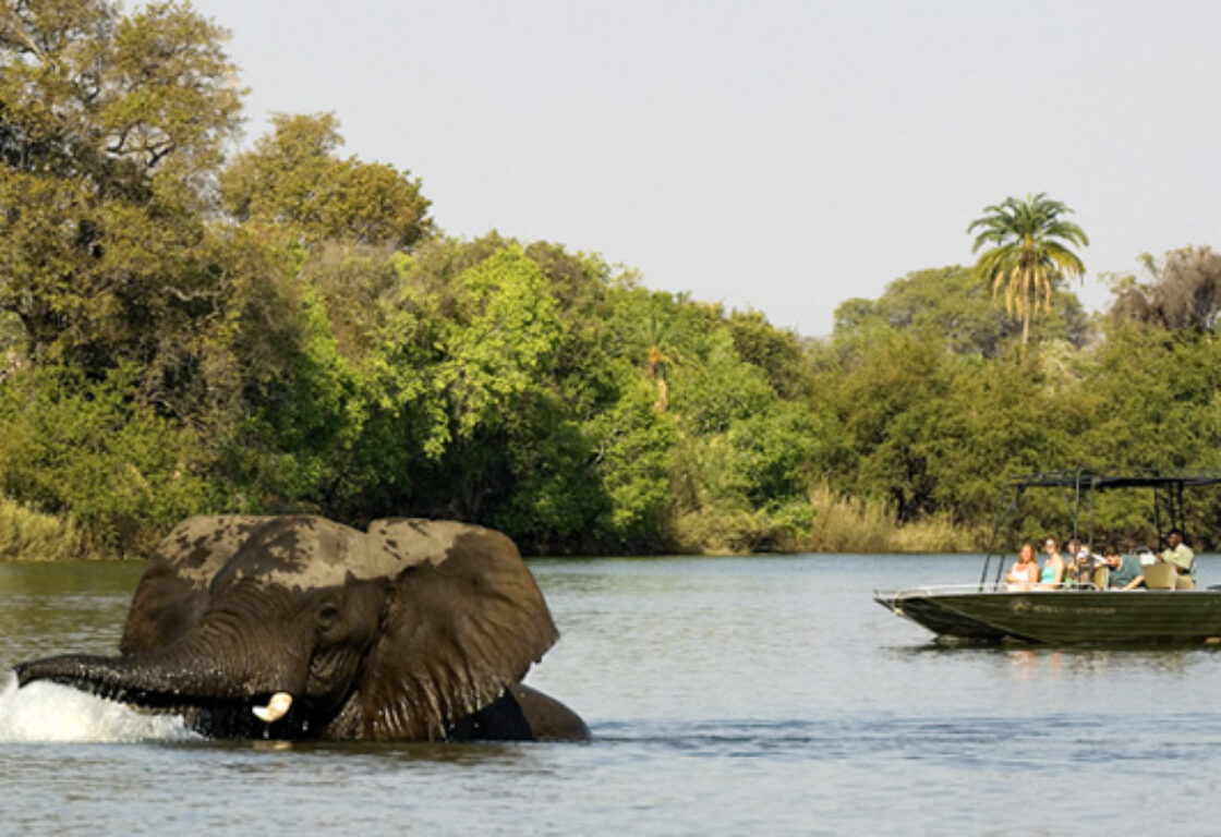 river cruise on Zambezi River