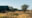 view from the plains at the simple camp in Serengeti