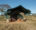 simple green large safari tent in the middle of the african bush