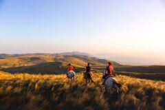 Three horseback riders in colorful attire traverse golden grasslands at sunset, with rolling hills and mountains in the background.