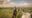 view from behind a group of 5 people riding horses down a hill and in the background there are rolling hills and an open landscape