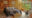 a bedroom in a wooden cabin features a double bed with black wrought iron fram and next to it are wooden bedside tables and on the right glass windows overlook fields and trees