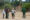 four people in khaki clothing on a walking safari with a ranger looking at a giraffe in front of them