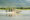 a smaller speed boat in neutral colours cruising on a river searching for wildlife with stunning green background