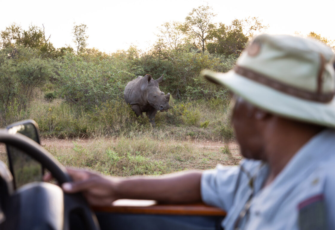 a man on a game drive spotting a rhino