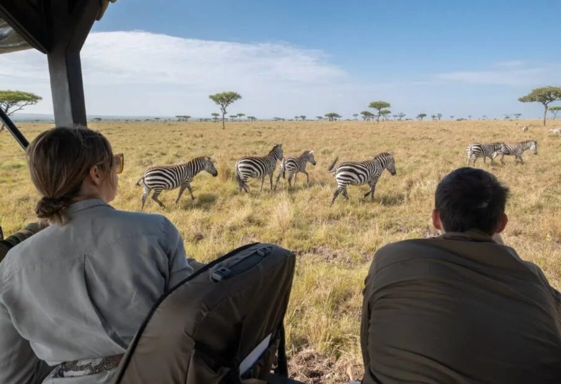a couple in a jeep on a game drive looking at zebras walking in the distance