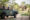 green jeep on a game drive overlooking a bush and looking at an elephant