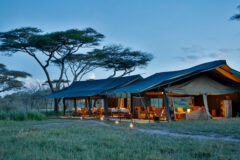 large safari tented camp in Serengeti at dusk