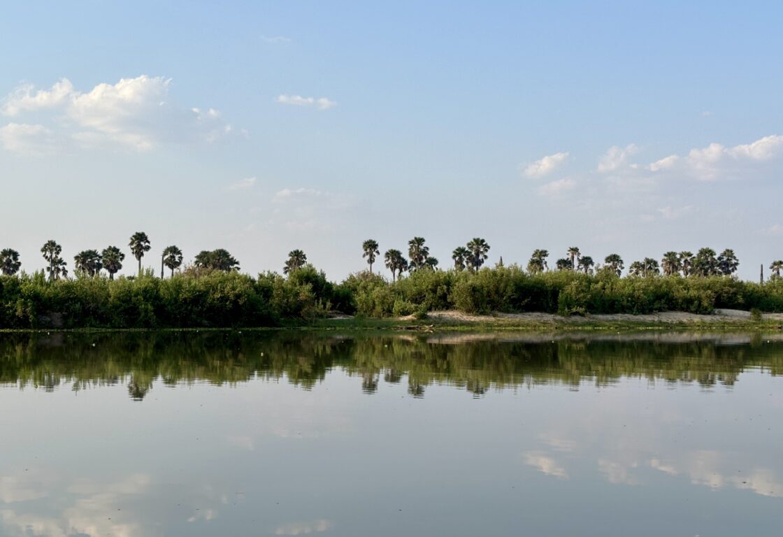 Nyerere National Park floodplains and rivers
