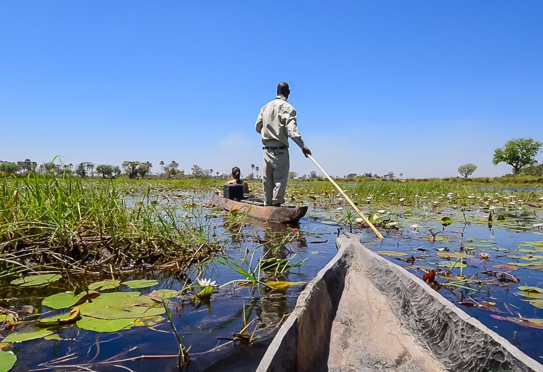 Taken from the viewpoint of someone sitting in a boat, with another narrow boat ahead with one person sitting and a man standing towards the back, a large paddle in his hand. The boats glide through a serenly calm river, with lily pads and reeds covering the surface of the water.