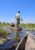 Taken from the viewpoint of someone sitting in a boat, with another narrow boat ahead with one person sitting and a man standing towards the back, a large paddle in his hand. The boats glide through a serenly calm river, with lily pads and reeds covering the surface of the water.