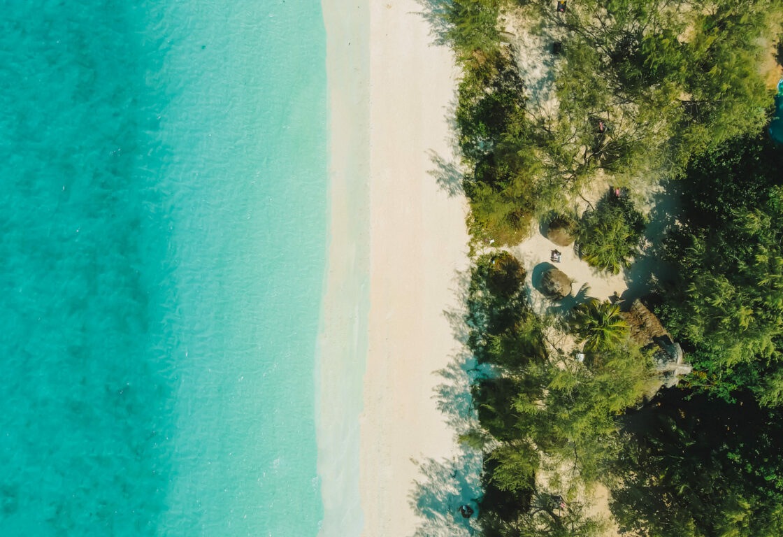 an aerial shot of a zanzibar beach and ocean