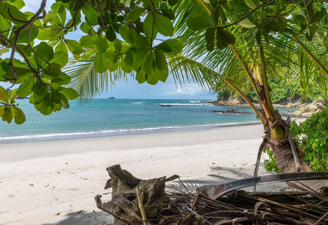 A secluded tropical beach with white sand and turquoise water, framed by lush green palm trees and broadleaf canopy, with rocky headlands visible in the distance.
