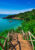 a set of wooden steps staggers down a hill covered in bright green trees and the steps lead the a blue sea with the land curving around and in the water are people swimming