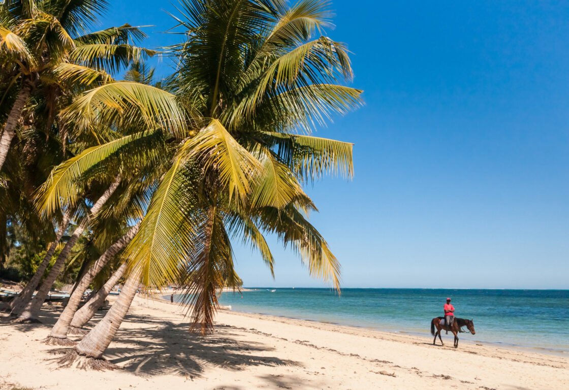a stretch of white sand with large palm trees to the left and a calm blue sea on the right and along the shallow water a man in a red top rides a horse along the beach in madagascar