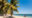 a stretch of white sand with large palm trees to the left and a calm blue sea on the right and along the shallow water a man in a red top rides a horse along the beach in madagascar