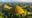 symmetrical, grass-covered mounds stretching across the landscape