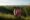 a man and a woman stand looking at the chocolate hills in the philippines with their arms around each other and in the distance loads of little hills stand covered in forest