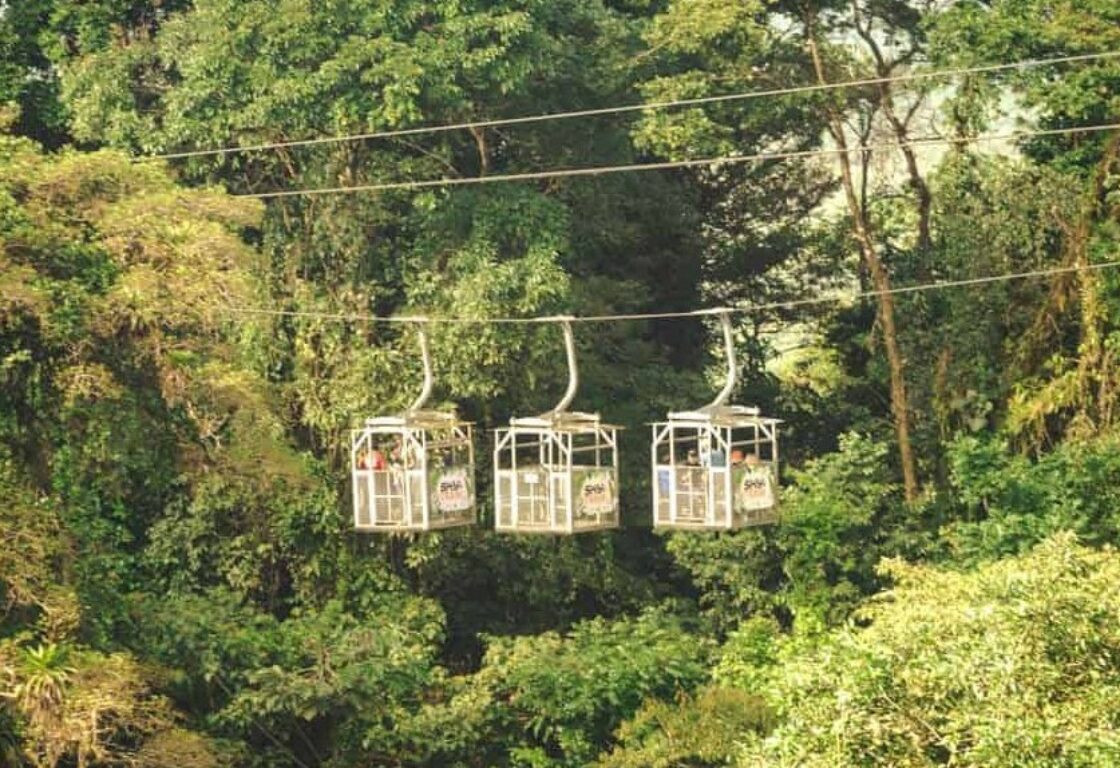 A cable car dangling in the middle of the jungle