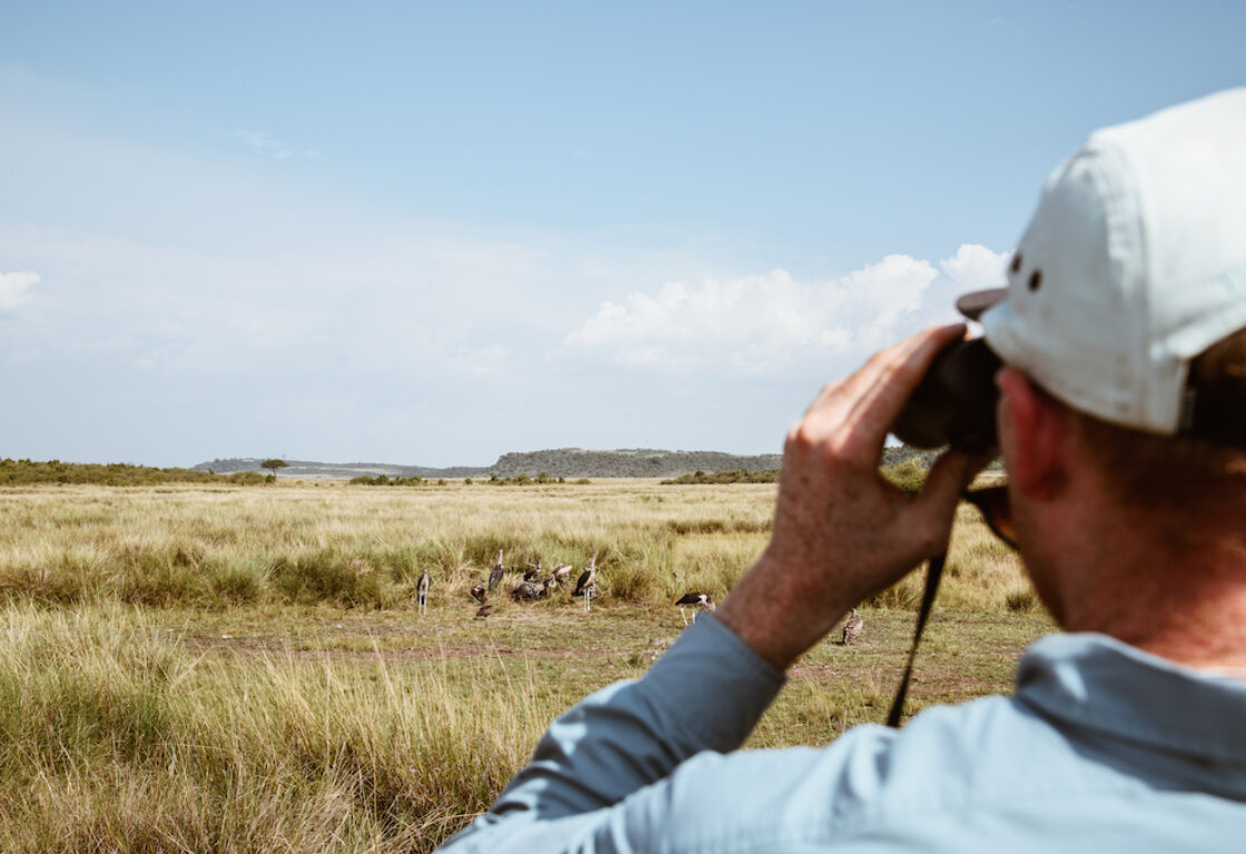 A man with binoculars looks out onto a long grassy plains, where a group of birds can be seen.