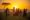 A group of around 10 people stand around enjoying a sunset in front of an African Savannah