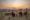 a person sitting on one for a few camping chairs wactching an african sunset over the plains and a man serving a drink