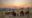 a person sitting on one for a few camping chairs wactching an african sunset over the plains and a man serving a drink