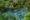 A view of a large pool with seating inside of the pool filled with natural hot springs in Tabacon hot springs - Arenal - Costa Rica