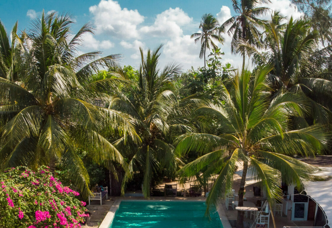 a view of a couple standing on the edge of a swimming pool surrounding by palm trees at Sharazad Oasis, Zanzibar