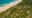an aerial view of a beach front resort fringed by palm trees set on the edge of a beach and ocean