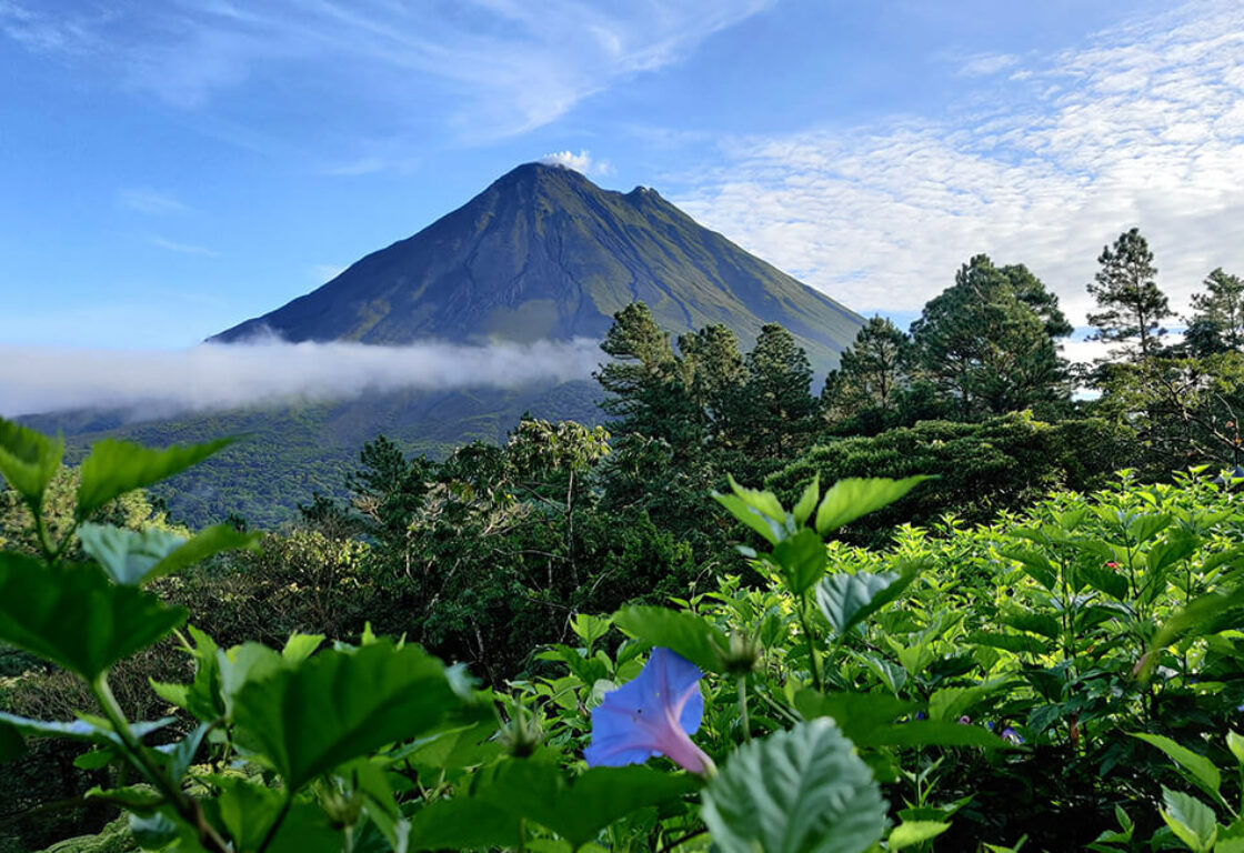 a view of a conical volcano under a clear blue sky, partially obscured from view by lush green forest.
