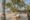 wooden lounge chairs with white cushions located on a beach under palm trees