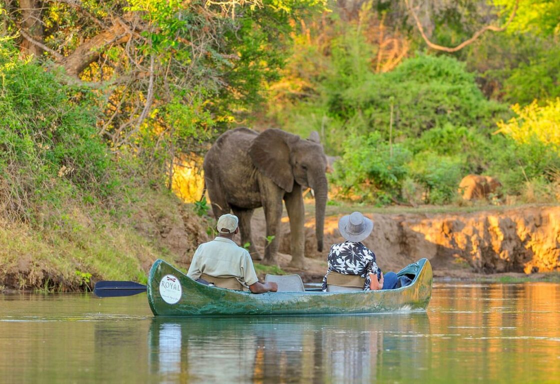 A green canoe carrying two people cruising on a river with an elephant on the banks