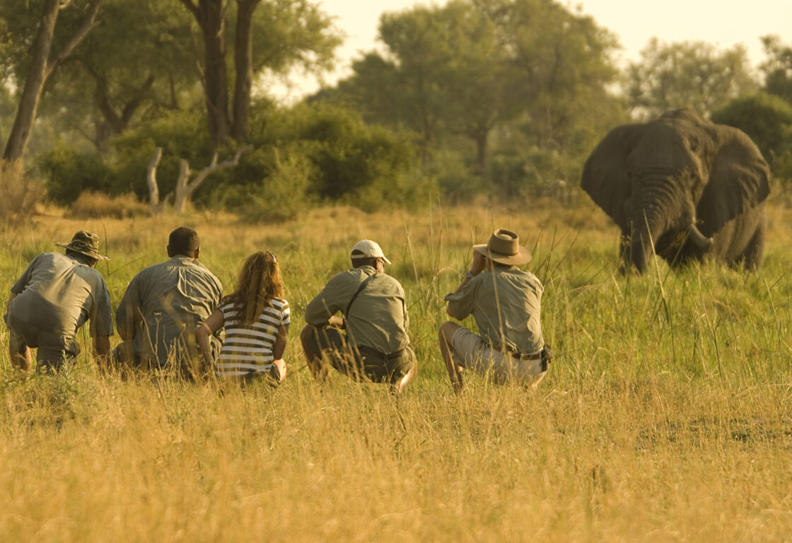a group of people on a walking safari tracking an elephant