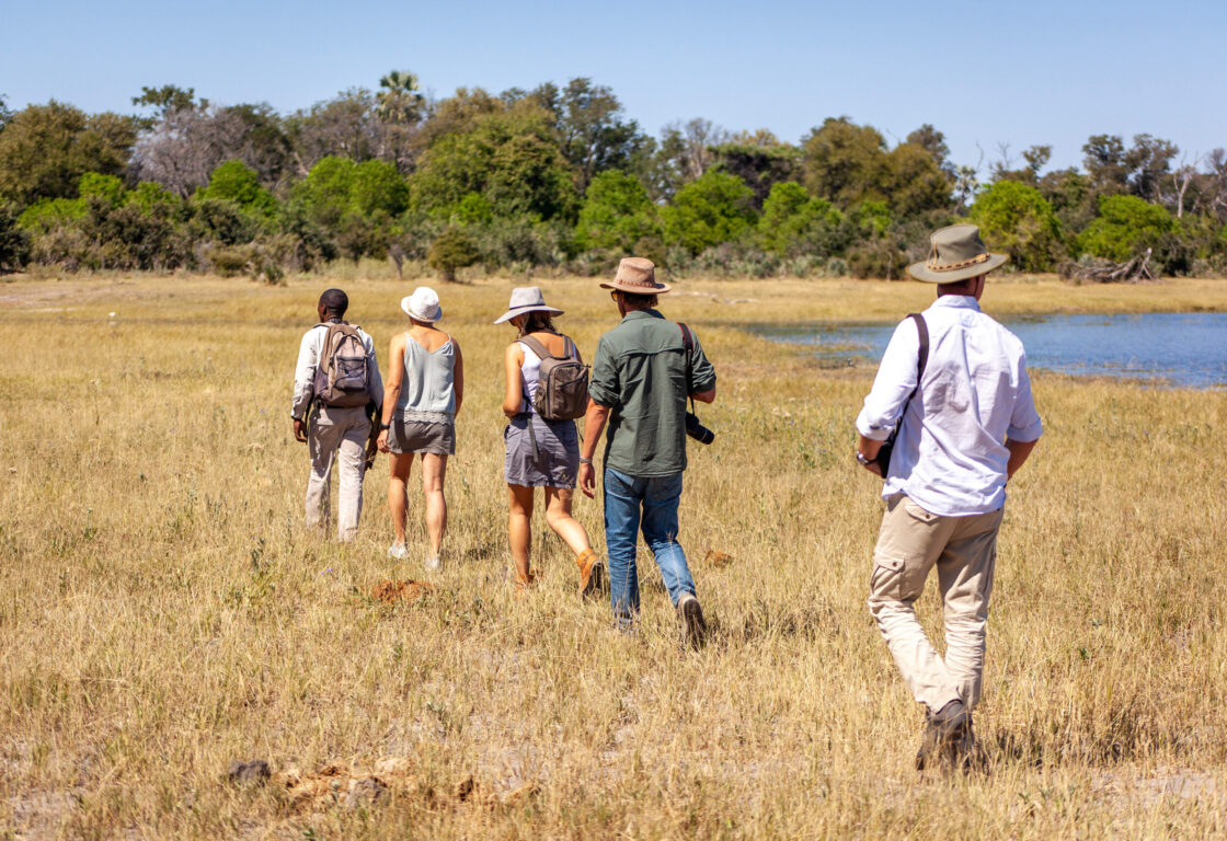 walking safari with a group of people in the bush